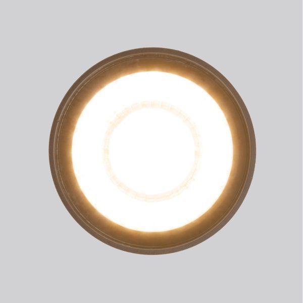 Светильник уличный потолочный Light LED 2105 IP54 35132/H черный Elektrostandard - Фото 2