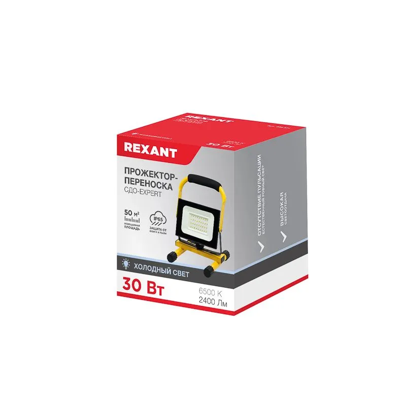 Прожектор-переноска СДО-EXPERT 30Вт 2400Лм 6500K со шнуром 2м и евровилкой REXANT - Фото 3