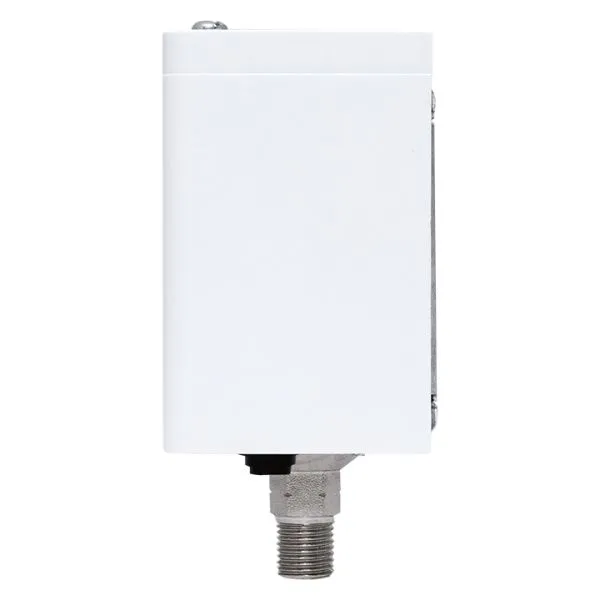 Реле избыточного давления EKF RVG-20-1,6 (1,6 МПа) - Фото 11