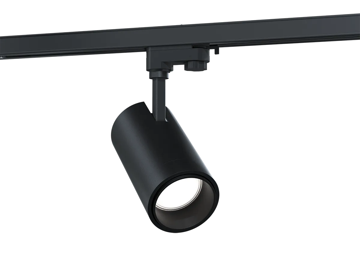 Светильник L-spot/10/К15-Г60/3,0К/SH/220AC IP20 RAL9005 (черный) LEDEL LSPT00021