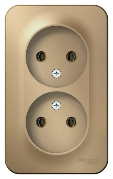 Розетка 2-м ОП Blanca 16А IP20 250В без заземл. без защ. шторок титан SE BLNRA000204