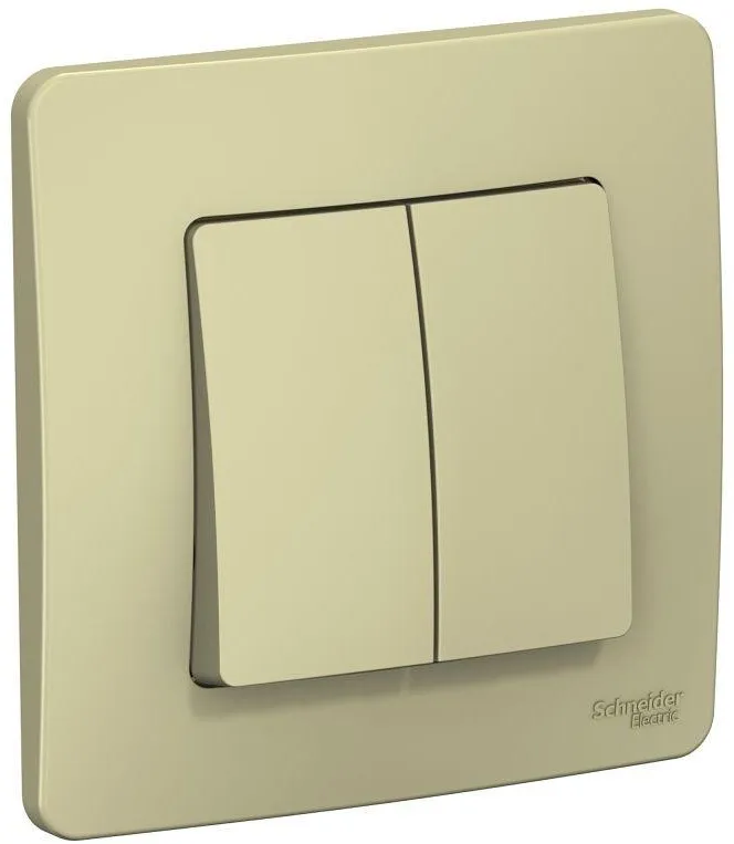 Выключатель 2-кл. СП Blanca 10А IP20 (сх. 5) 250В беж. SE BLNVS010507 - Фото 2