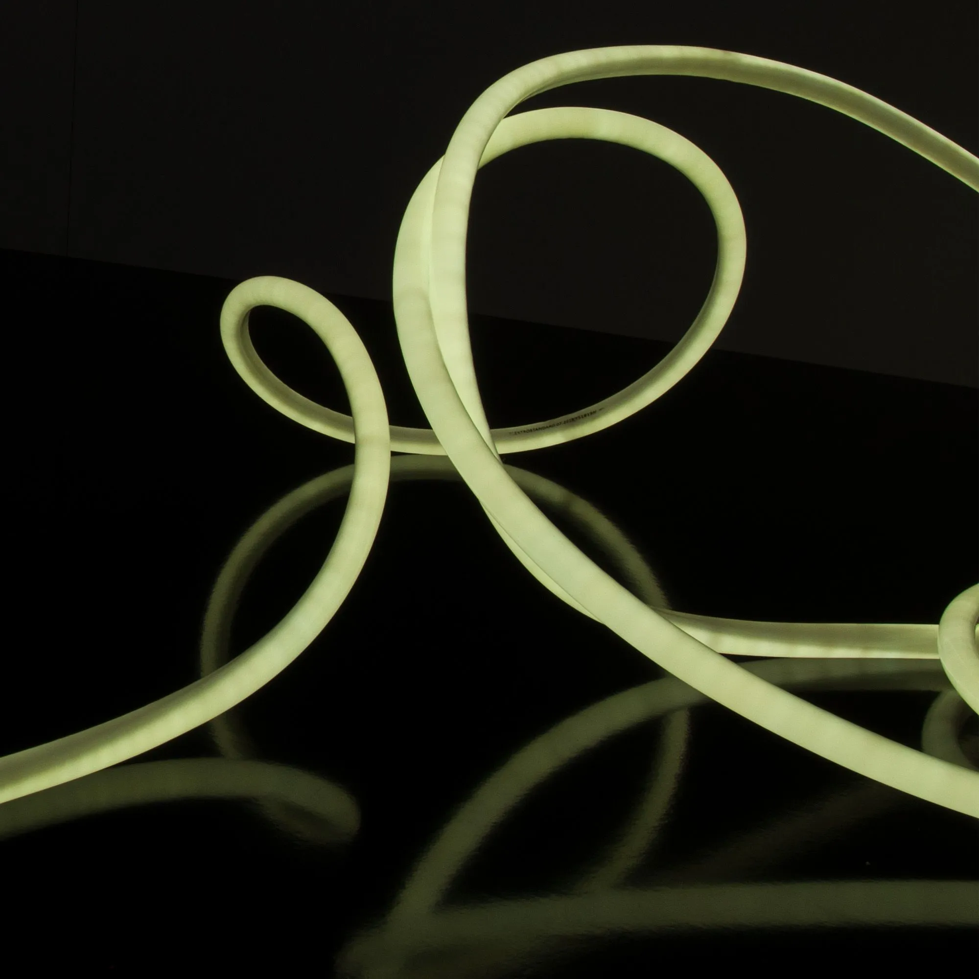 Гибкий неон светодиодный 220V 9,6W 144Led 2835 IP67 круглый холодный белый, 50 м Elektrostandard - Фото 5