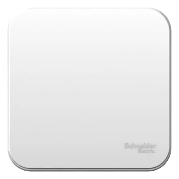 Переключатель проходной 1-кл. ОП Blanca 10А IP20 (сх. 6) 250В с изолир. пластиной бел. SE BLNVA106011