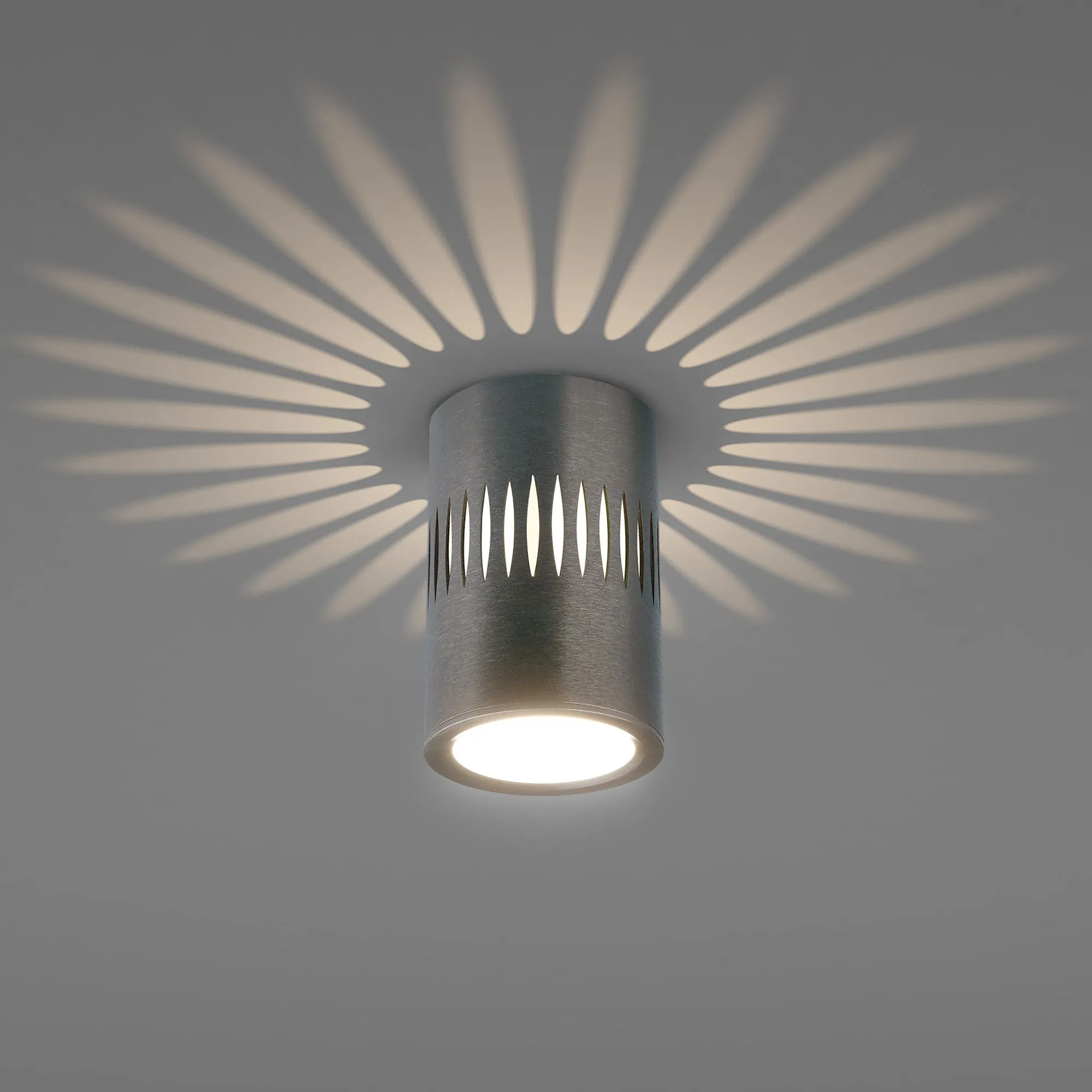 Светильник светодиодный накладной с подсветкой графит DLS026 Elektrostandard