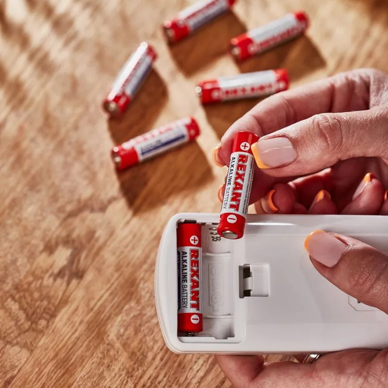 Батарейка алкалиновая AAA/LR03, 1,5В, 24 шт, блистер REXANT - Фото 2