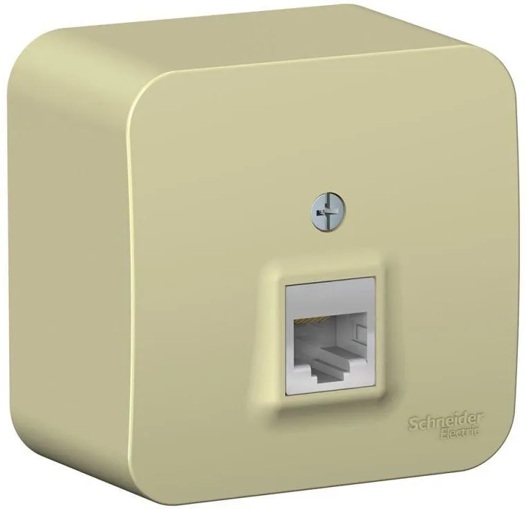 Розетка компьютерная 1-м ОП Blanca RJ45 кат.5E с изолир. пластиной беж. SE BLNIA045007