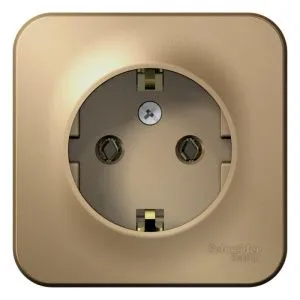 Розетка 1-м ОП Blanca 16А IP20 250В с заземл. без защ. шторок титан SE BLNRA010104 1210575