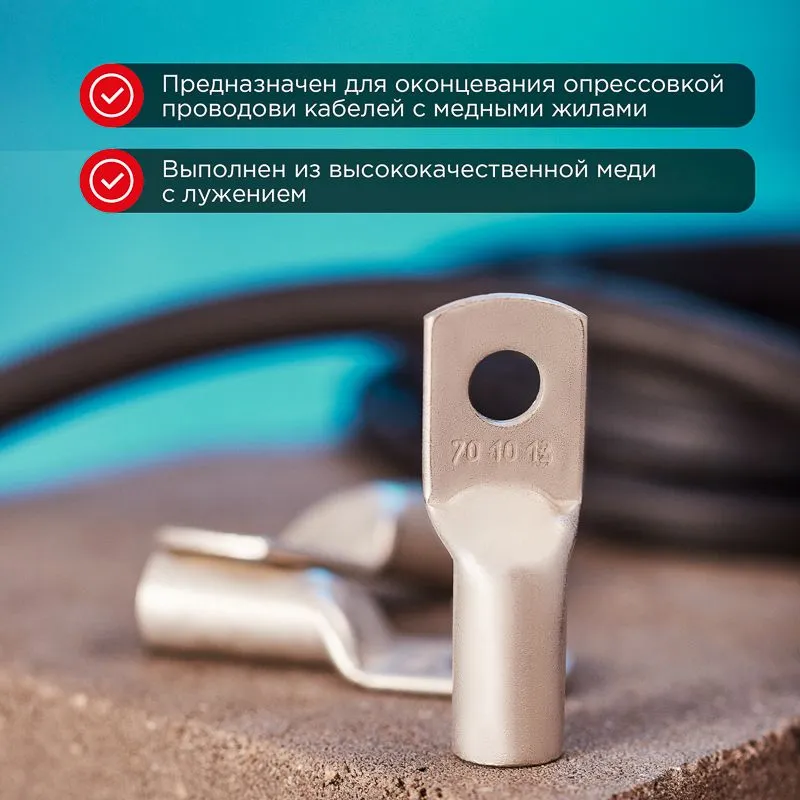 Наконечник медный луженый ТМЛ 70–10–13 (70мм² - Ø10мм) ГОСТ 7386-80 (в упак. 2 шт.) REXANT - Фото 2