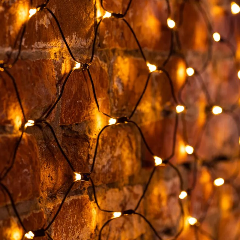 Гирлянда светодиодная Сеть 1х1,5м 160 LED ТЕПЛЫЙ БЕЛЫЙ черный ПВХ IP65 свечение с динамикой 230В блок в комплекте NEON-NIGHT - Фото 2