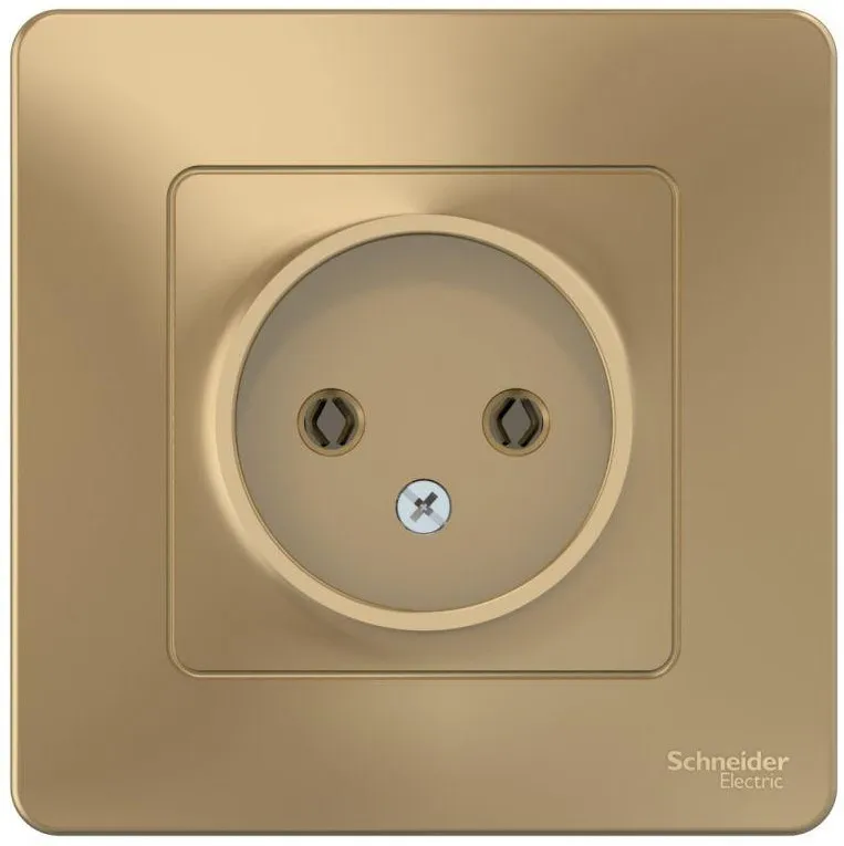 Розетка 1-м СП Blanca 16А IP20 250В без заземл. без защ. шторок титан SE BLNRS000014 - Фото 3