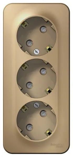 Розетка 3-м ОП Blanca 16А IP20 250В с заземл. защ. шторки с изолир. пластиной титан SE BLNRA011314