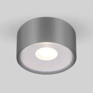Светильник уличный потолочный Light LED 2135 IP65 35141/H серый Elektrostandard a057472