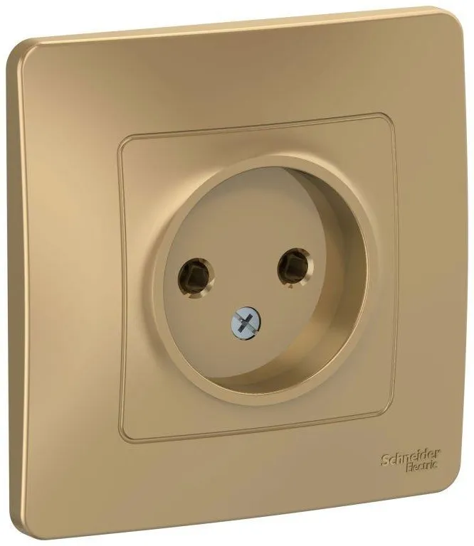 Розетка 1-м СП Blanca 16А IP20 250В без заземл. без защ. шторок титан SE BLNRS000014 - Фото 2