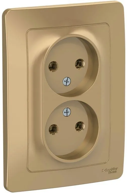 Розетка 2-м СП Blanca 16А IP20 250В без заземл. без защ. шторок титан SE BLNRS000024 - Фото 2