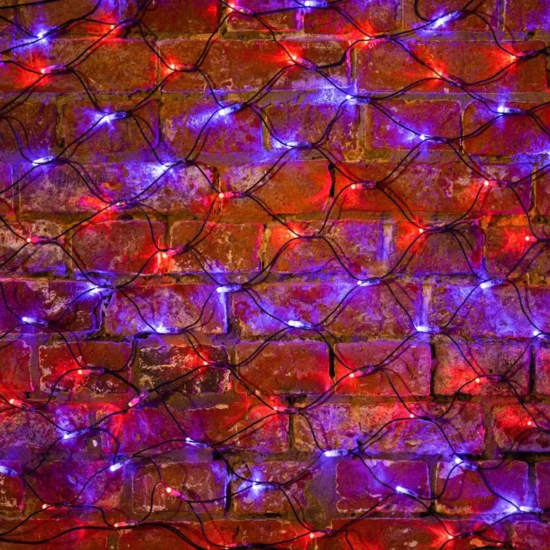 Гирлянда светодиодная Сеть 2х0,7м 176 LED КРАСНЫЙ/СИНИЙ черный ПВХ IP65 свечение с динамикой 230В контроллер в комплекте NEON-NIGHT 215-013