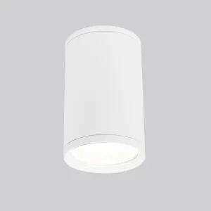 Светильник уличный потолочный Light 2101 IP65 35128/H белый Elektrostandard a056333