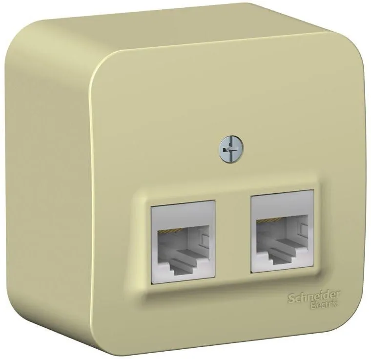 Розетка компьютерная 2-м ОП Blanca RJ45 кат.5E с изолир. пластиной беж. SE BLNIA045457