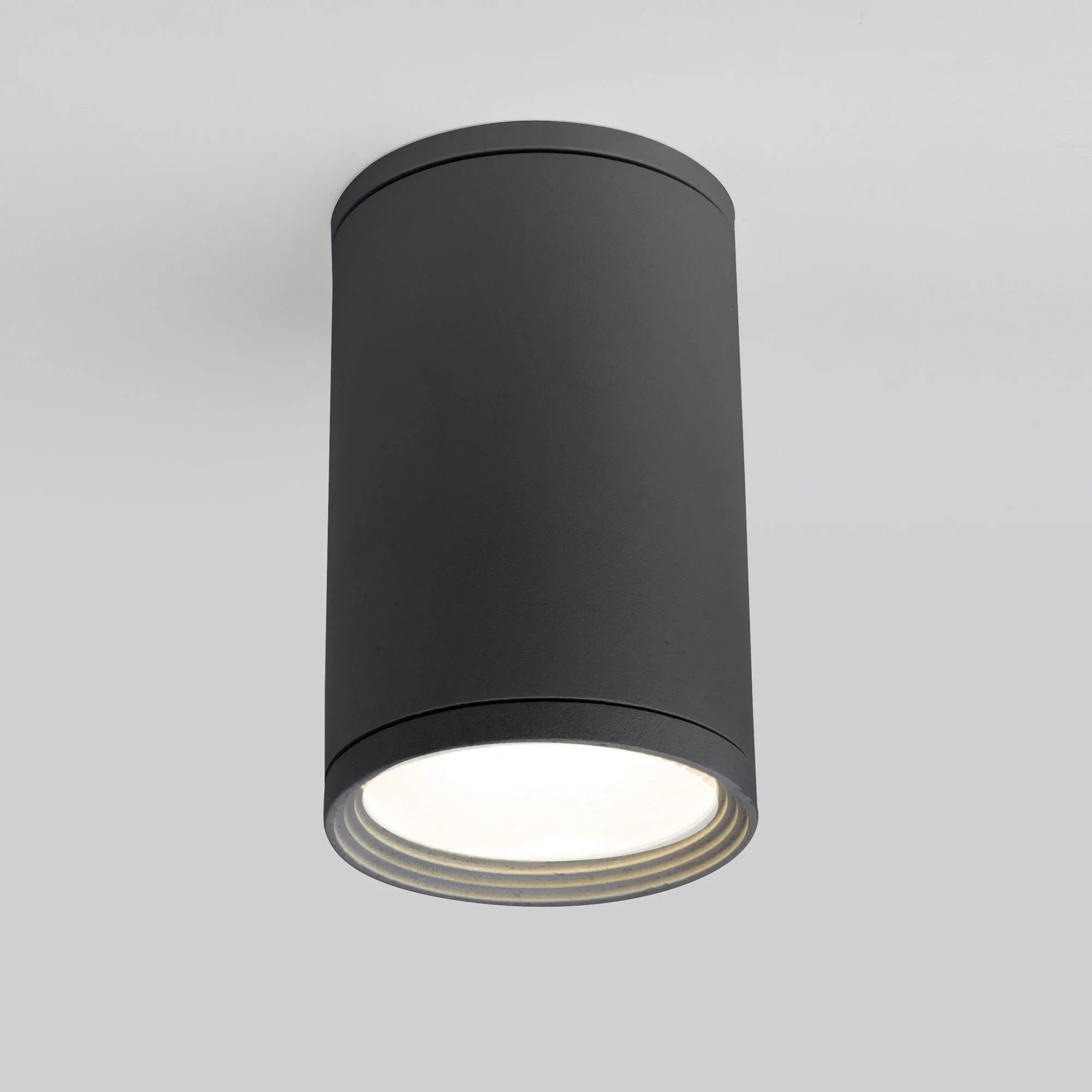 Светильник уличный потолочный Light 2101 IP65 35128/H серый Elektrostandard (УЦЕНКА) a056227уц