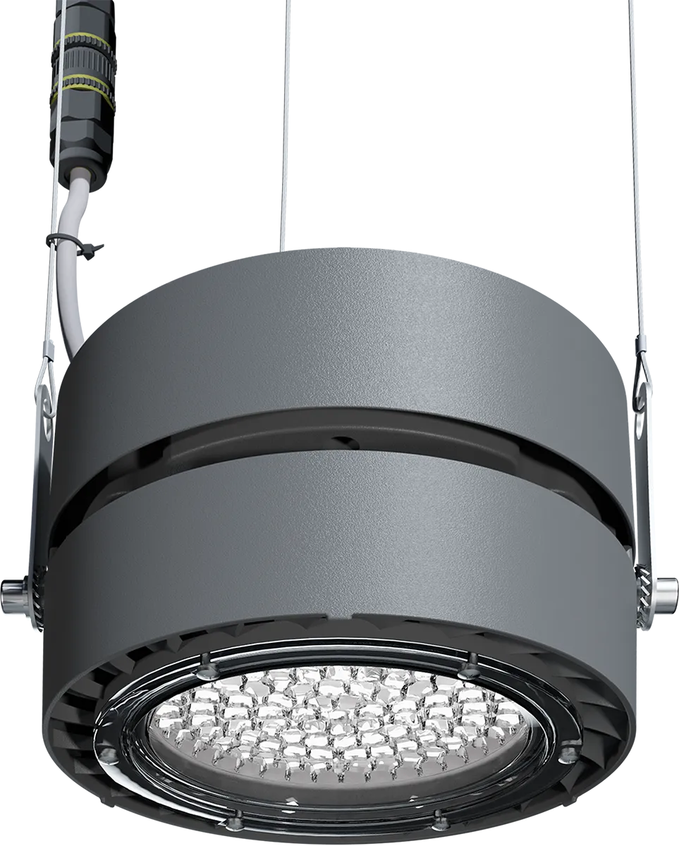 Светильник L-industry II/100/Г60/5,0К/05/IKX-31/220AC IP65 LEDEL INII100-36-514-17