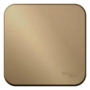 Выключатель 1-кл. ОП Blanca 10А IP20 (сх. 1) с самовозвратом с изолир. пластиной титан SE BLNCA101014 1210585