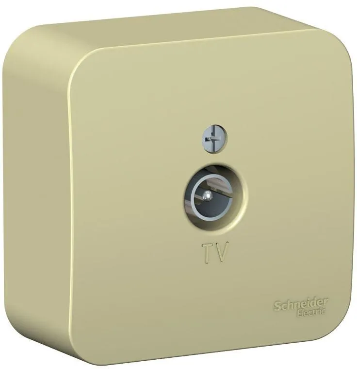 Розетка телевизионная TV ОП Blanca коннектор с изолир. пластиной беж. SE BLNTA000017