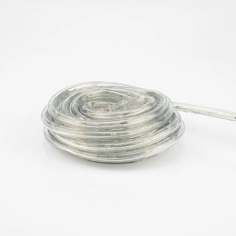 Дюралайт LED, свечение с динамикой (3W), 24 LED/м, белый, 6м - Фото 2