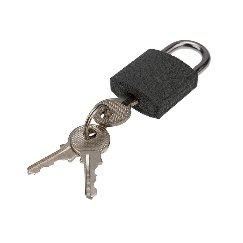 Замок навесной СЧ-25 Багажный ЧЕТЫРЕ СЕЗОНА - Фото 4