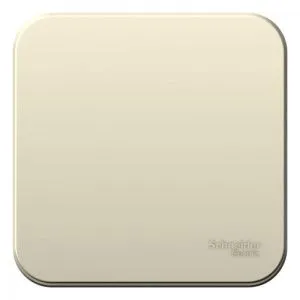 Переключатель проходной 1-кл. ОП Blanca 10А IP20 (сх. 6) 250В с изолир. пластиной молочн. SE BLNVA106012 1210504