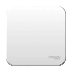 Выключатель 1-кл. ОП Blanca 6А IP20 (сх. 1) 250В с изолир. пластиной бел. SE BLNVA061011 1210446