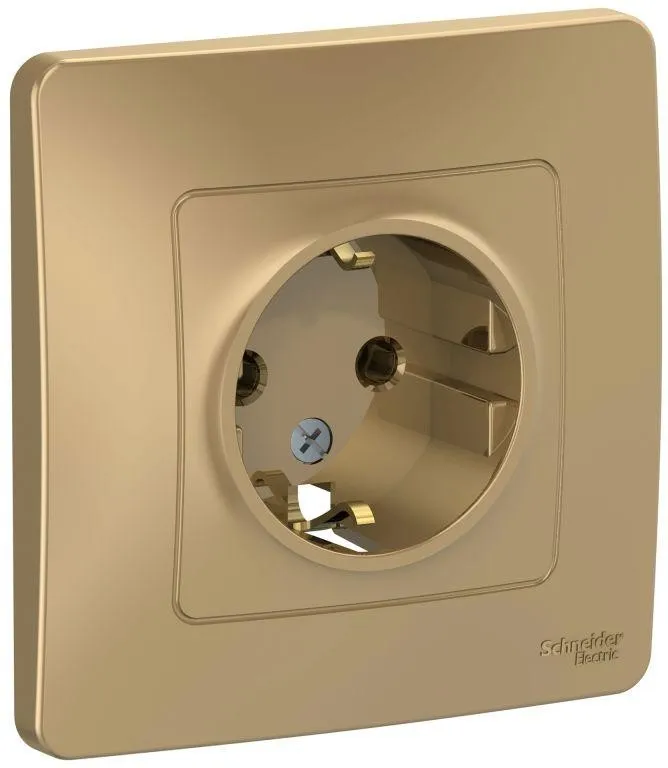 Розетка 1-м СП Blanca 16А IP20 250В с заземл. без защ. шторок титан SE BLNRS001014 - Фото 2