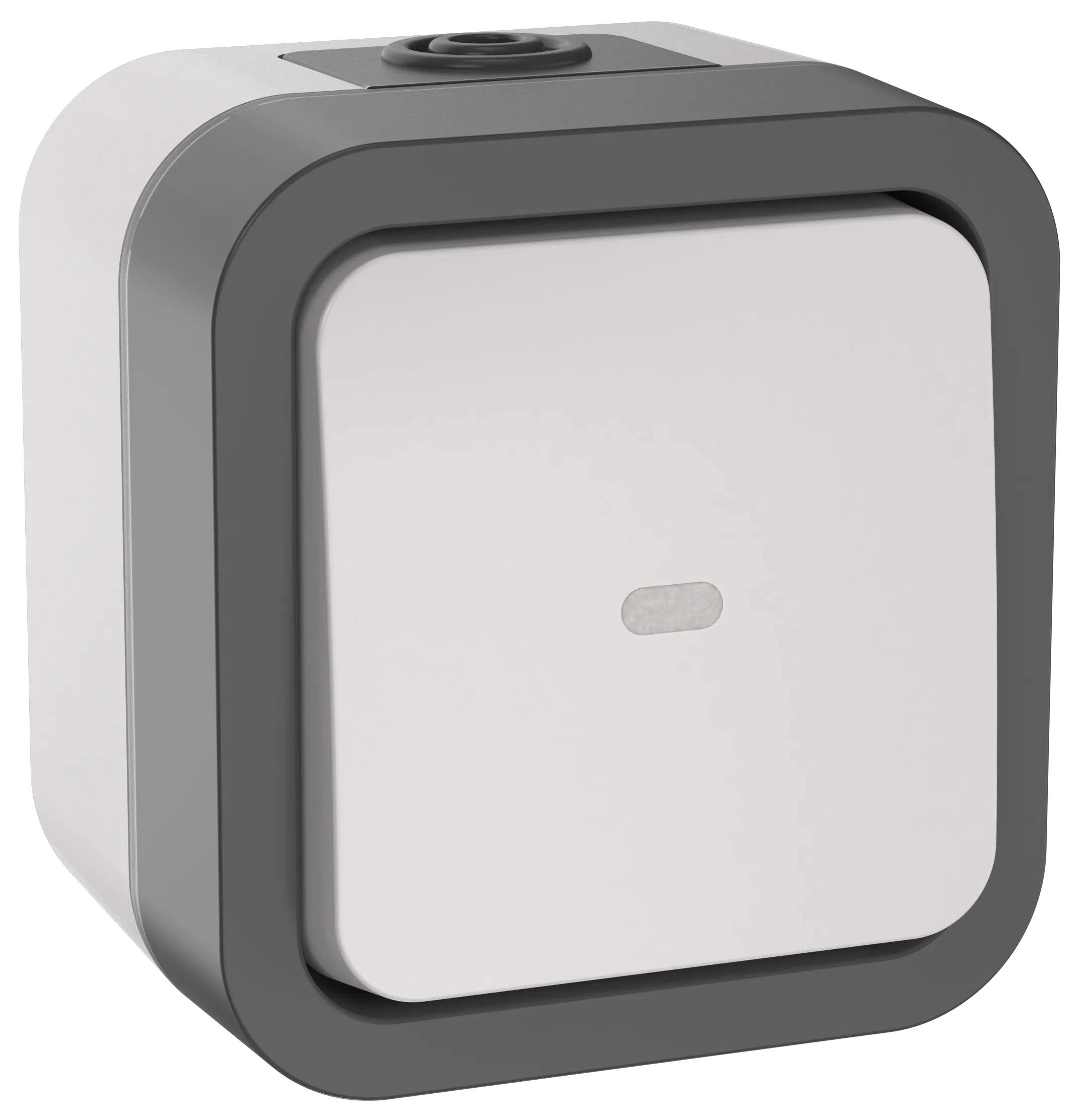 TORS Переключатель одноклавишный с индикацией 10А IP55 TS202 серо-белый IEK