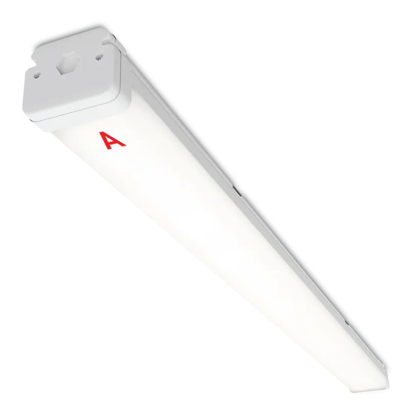 Светильник WOLTA PRO НеоПРОМ ДСП05-36-041-5К с БАП EM1 36Вт 5000K IP67 Матовый