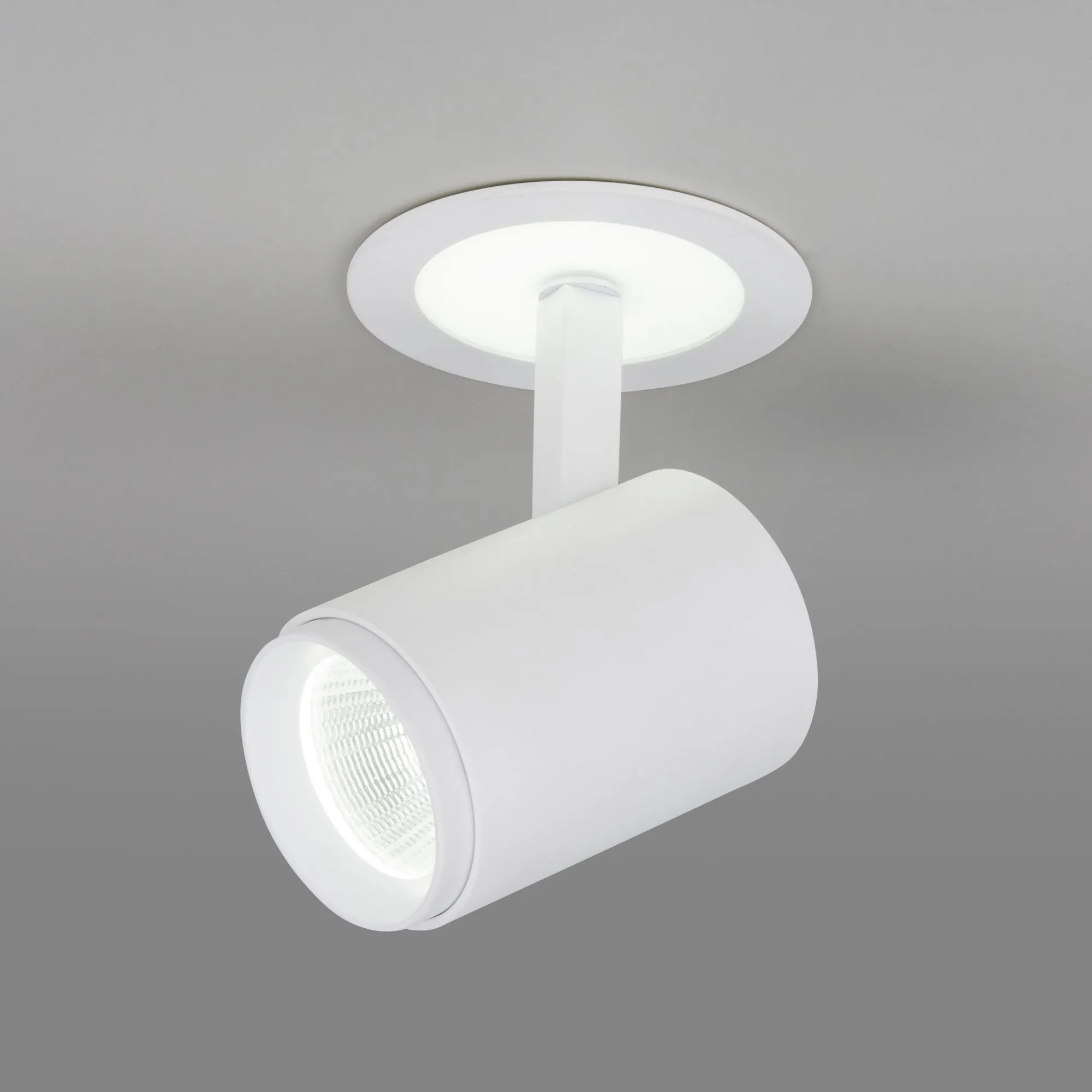 Светильник светодиодный акцентный DSR002 9+3W 6500K белый матовый Elektrostandard