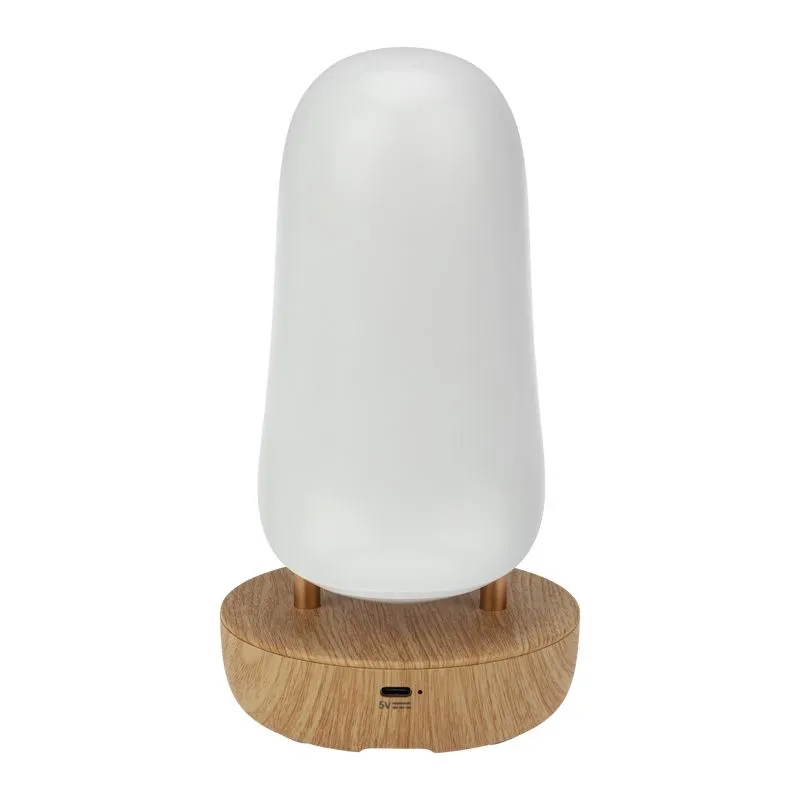 Интерьерный светильник Тукан, соединение по Bluetooth - Фото 5