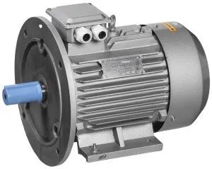 Электродвигатель однофазный АИР2Е 71B2 220В 0,75кВт 3000об/мин 2081 ONI ONP071-B2-000-8-3020