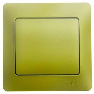 Выключатель 1-кл. СП Glossa 10А IP20 (сх. 1) 10AX в сборе фисташк. SE GSL001012 454399
