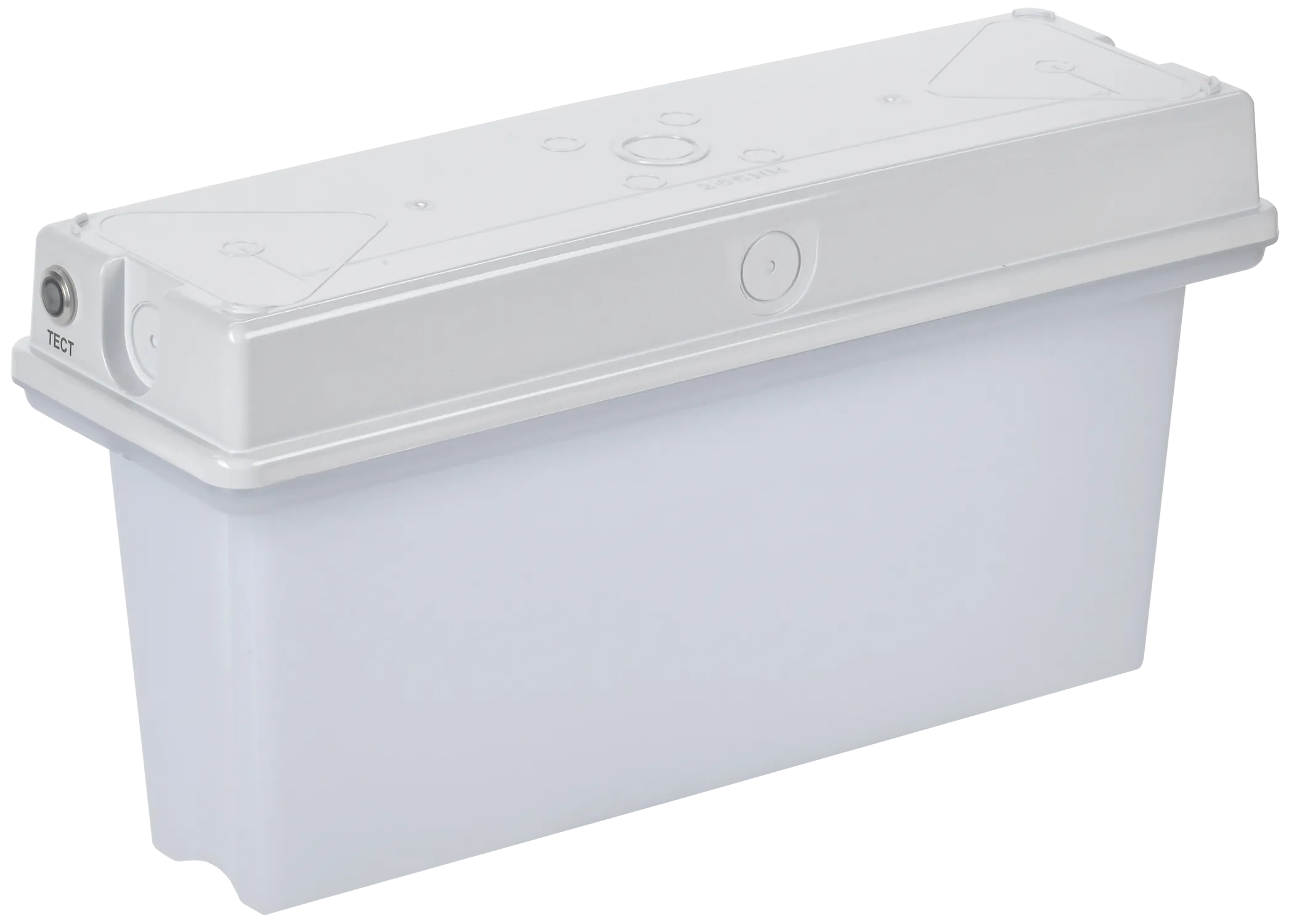 Светильник аварийный ССА1010 1ч универсальный IP65 IEK