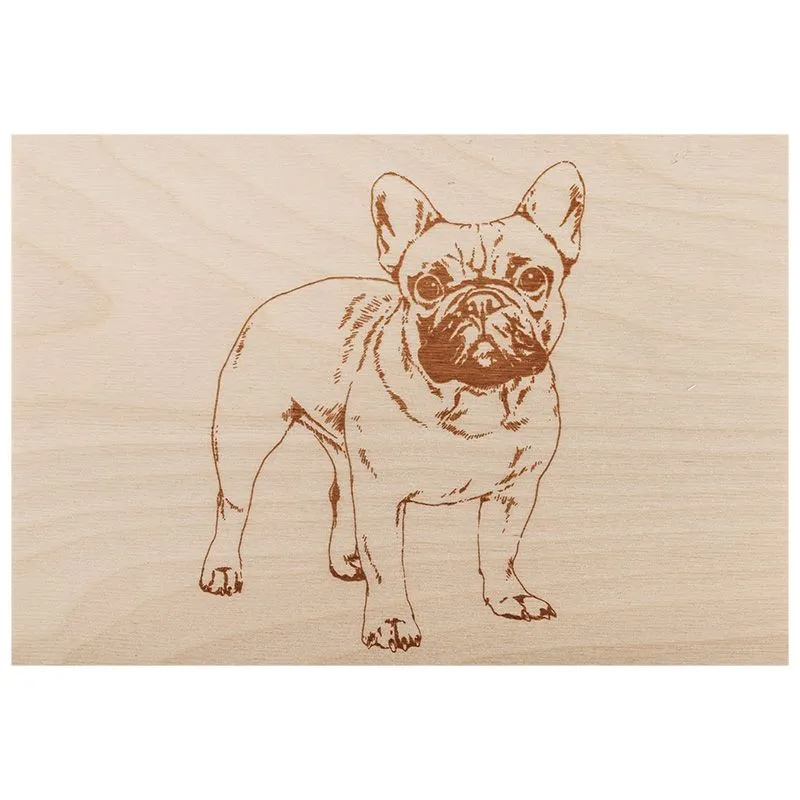 Доски для выжигания «Набор №3» (воин, динозавр, собака, машина, без рисунка), 148х210мм (А5), 5 шт., пакет REXANT - Фото 4