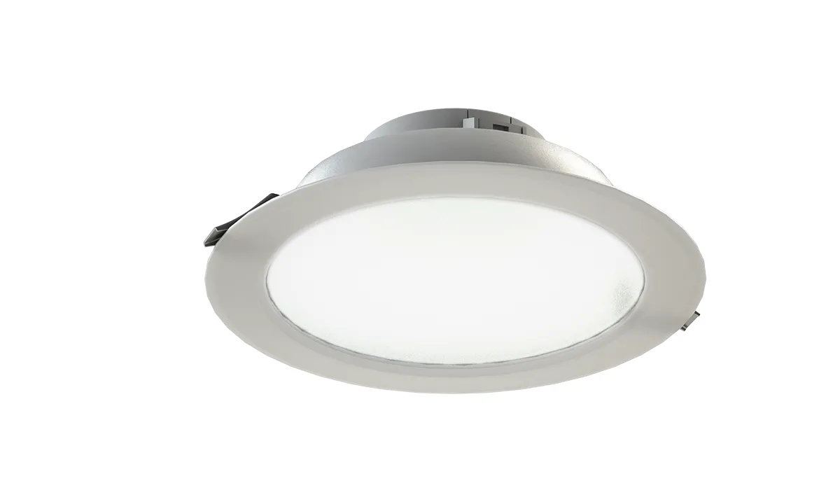 Светильник Radian 25 NEW/23/Д/4,0К/03/220AC IP40 LEDEL