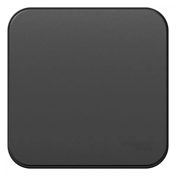 Выключатель 1-кл. ОП Blanca 10А IP20 (сх. 1) с самовозвратом с изолир. пластиной антрацит SE BLNCA101016