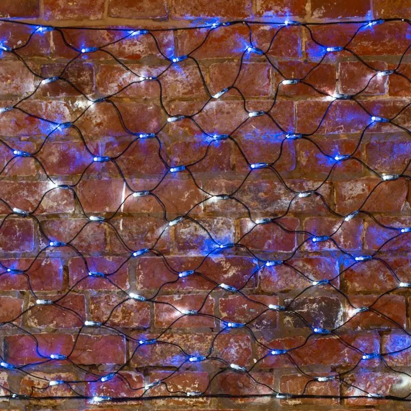 Гирлянда светодиодная Сеть 2х0,7м 176 LED БЕЛЫЙ/СИНИЙ черный ПВХ IP65 свечение с динамикой 230В контроллер в комплекте NEON-NIGHT 215-012