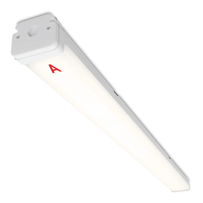 Светильник WOLTA PRO НеоПРОМ ДСП05-36-041-4К с БАП EM1 36Вт 4000K IP67 Матовый