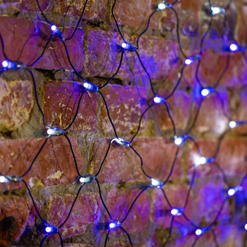 Гирлянда светодиодная Сеть 2,5х2,5м 432 LED БЕЛЫЙ/СИНИЙ черный ПВХ IP65 постоянное свечение 230В блок в комплекте NEON-NIGHT - Фото 2