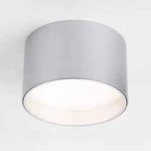 Светильник светодиодный накладной серебро 25123/LED Banti 13Вт 4200K Elektrostandard a058848