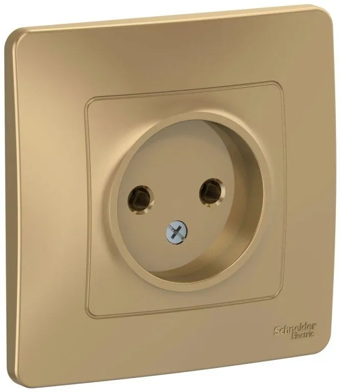 Розетка 1-м СП Blanca 16А IP20 250В без заземл. без защ. шторок титан SE BLNRS000014
