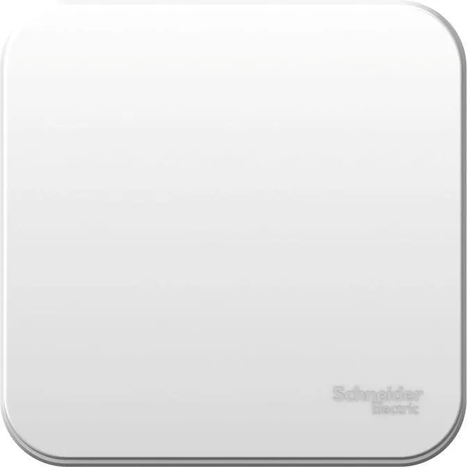 Выключатель 1-кл. ОП Blanca 10А IP20 (сх. 1) 250В с изолир. пластиной бел. SE BLNVA101011