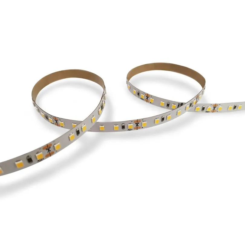 Светодиодная лента WOLTA Decor WLS2835-24W/3000/12H240-01 SMD2835 24Вт 3000К 12В IP20 240led/m 1/100 WLS2835-24W/3000/12H240-0