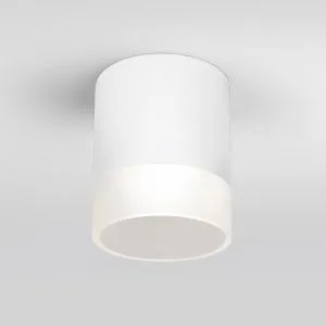 Светильник уличный потолочный Light LED 2107 IP54 35140/H белый Elektrostandard a057160