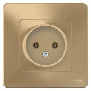 Розетка 1-м СП Blanca 16А IP20 250В без заземл. без защ. шторок титан SE BLNRS000014 1210352